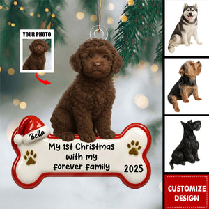 My 1st Christmas With Forever Family - Personalized Acrylic Ornament - Gifts For Dog Lovers