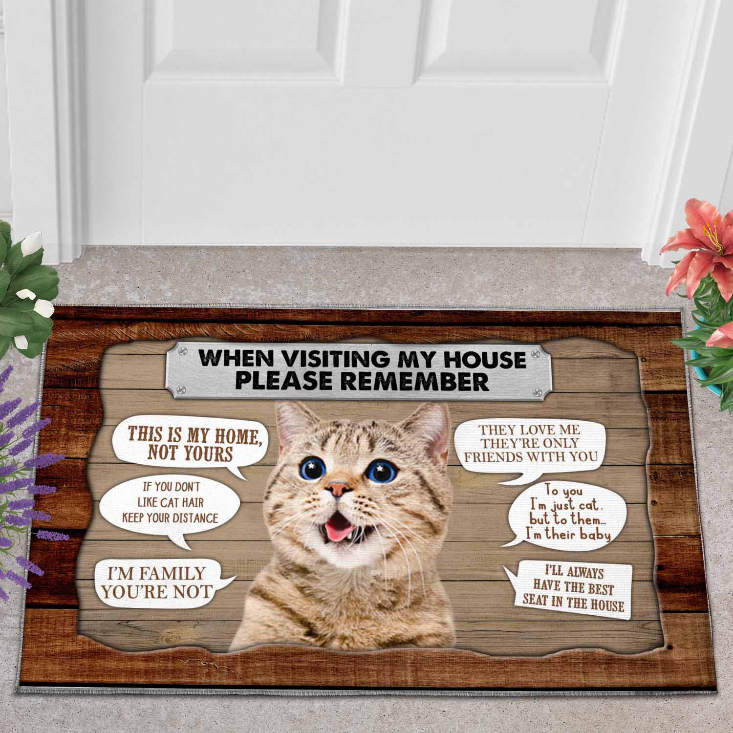 Cat please remember doormat