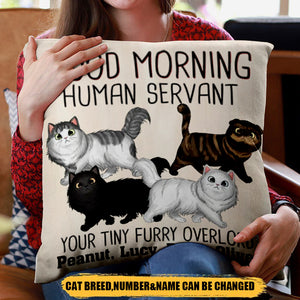 Walking Fluffy Cats Good Morning Cat Human Servant Personalized Pillow