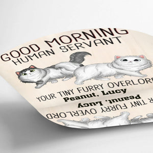 Walking Fluffy Cats Good Morning Cat Human Servant Personalized Pillow