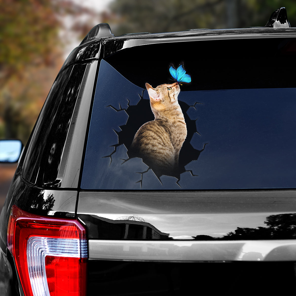Cat Broken hole torn blue butterfly Decal