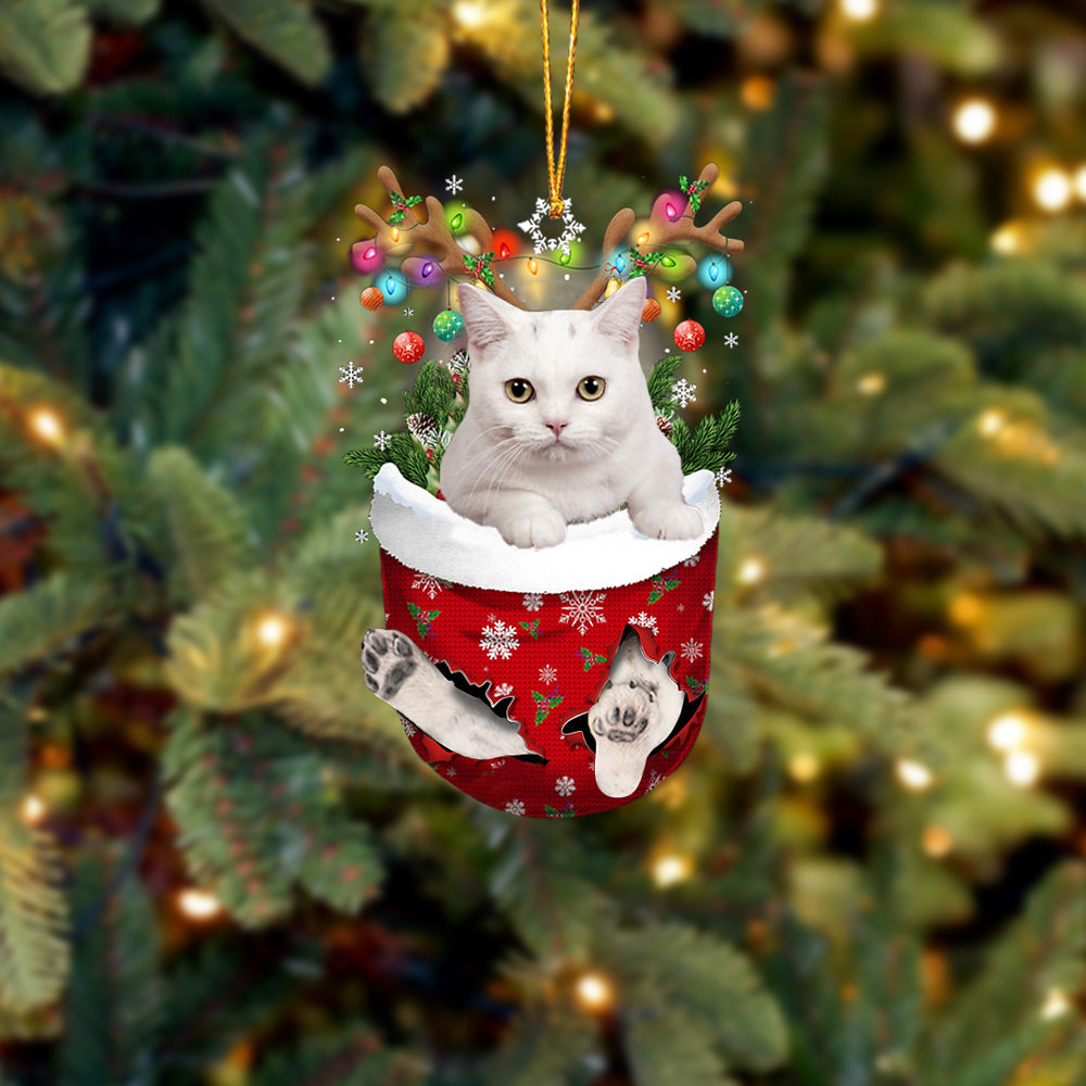 Cat 45 In Snow Pocket Christmas Ornament