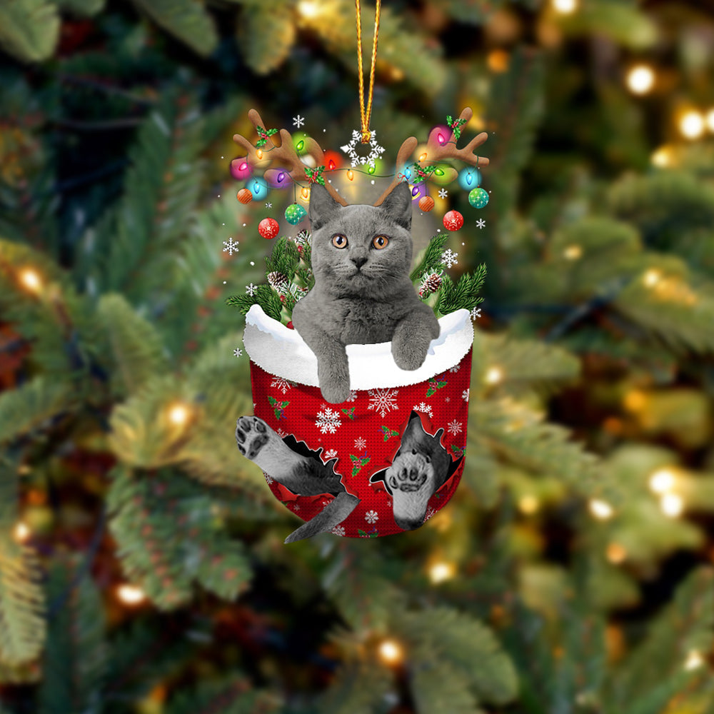 Cat 7 In Snow Pocket Christmas Ornament