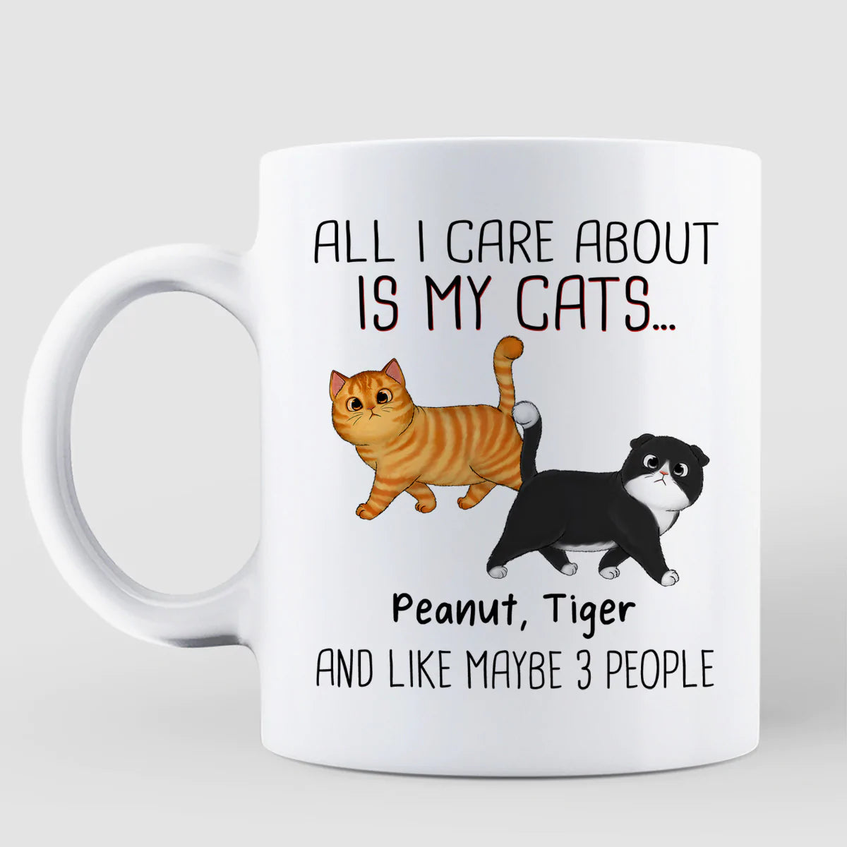 Walking Fluffy Cats Gift For Cat Lovers Personalized Mug